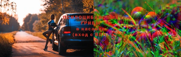 каннабис Арсеньев