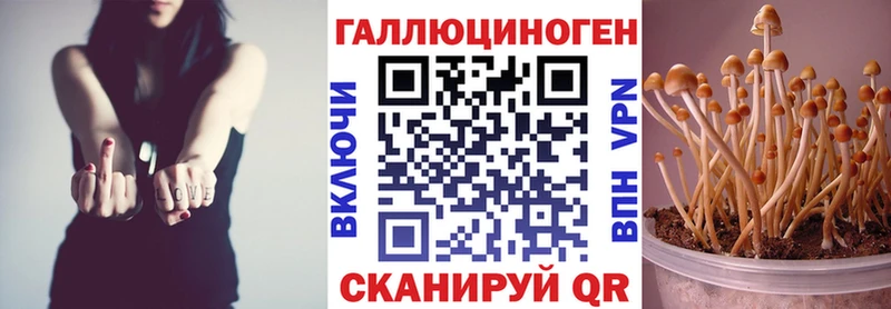 Купить закладки  Струнино  Псилоцибиновые грибы Cubensis 